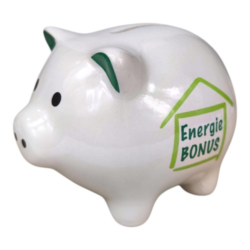 Sparschwein energie bonus - sparschwein,